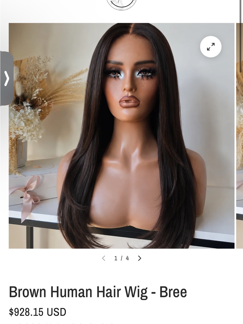 Bree Straight Human Hair Wig in Rich Brown
